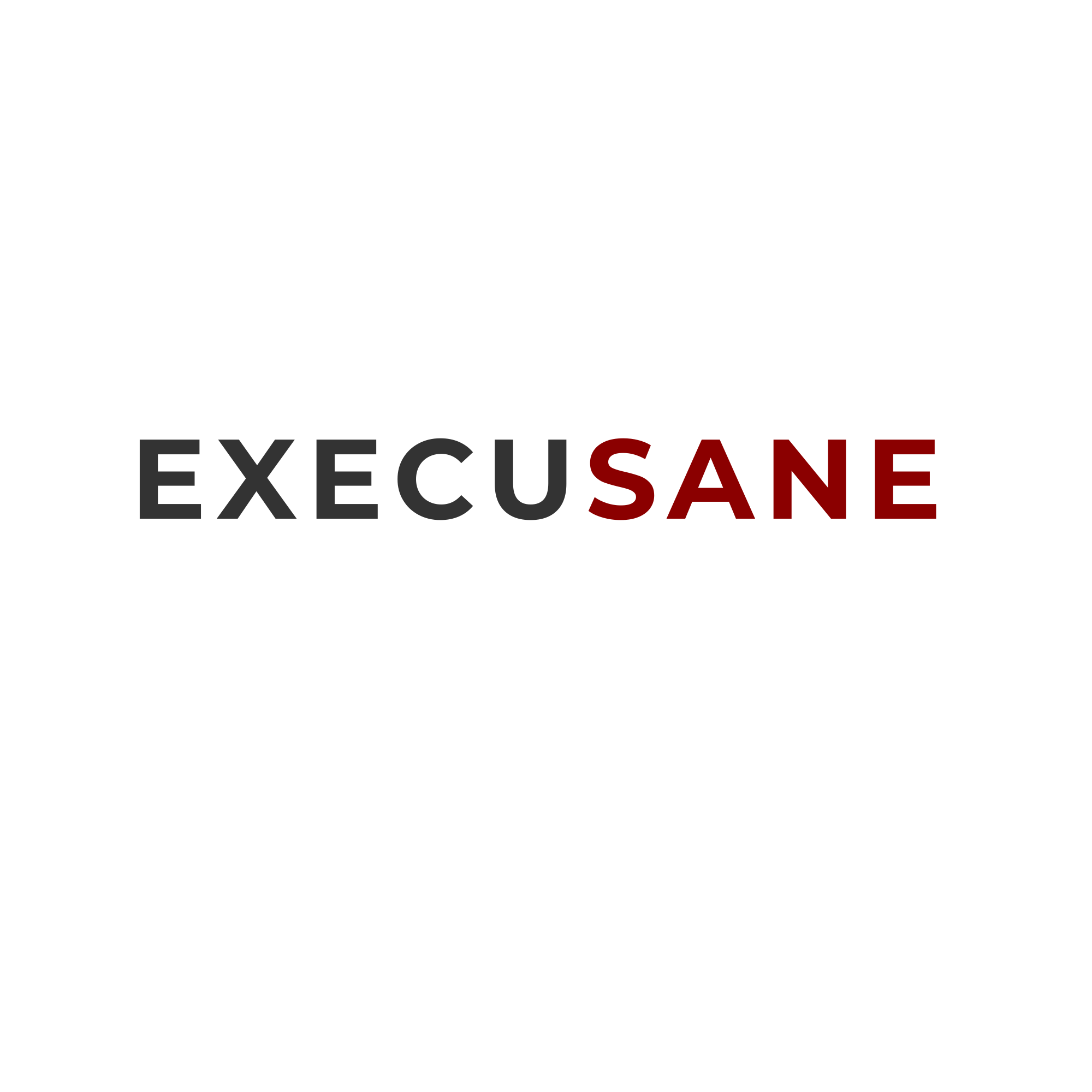 ExecuSane Inc